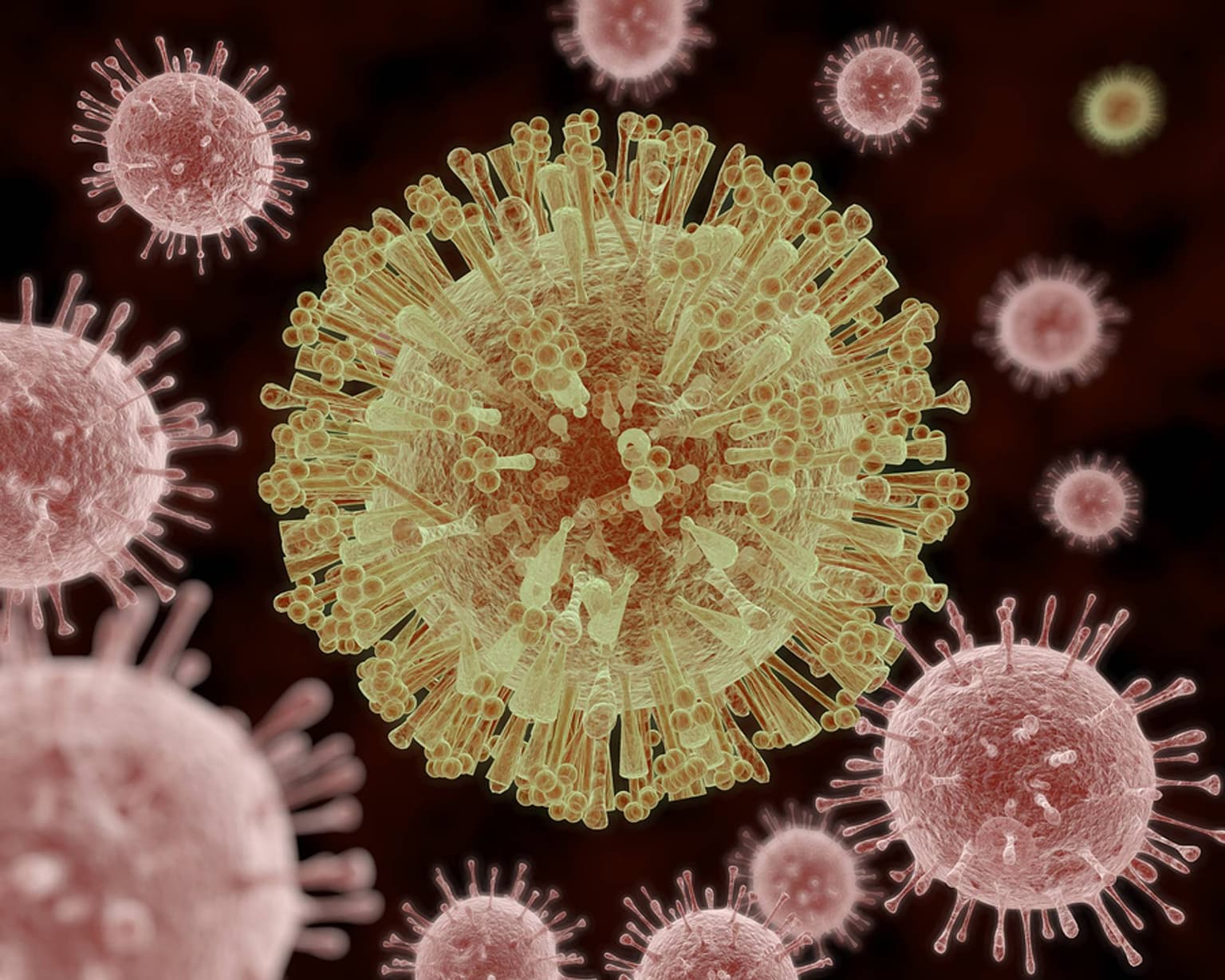 Analize medicale - virus Zika