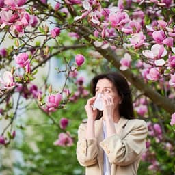 Tot ce trebuie să știi despre alergiile de sezon: simptome, cauze și pași clari spre tratament