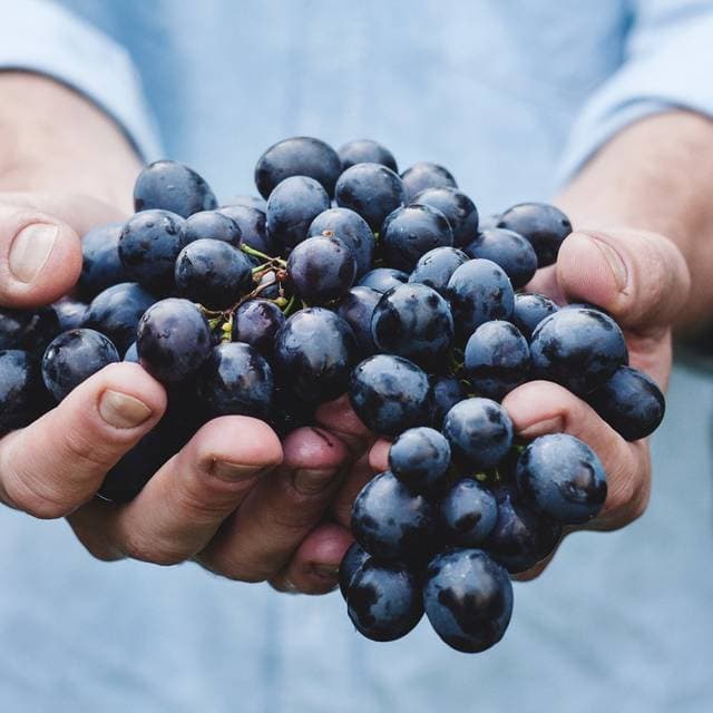 Resveratrolul: ce este, în ce alimente se găsește și ce efecte are