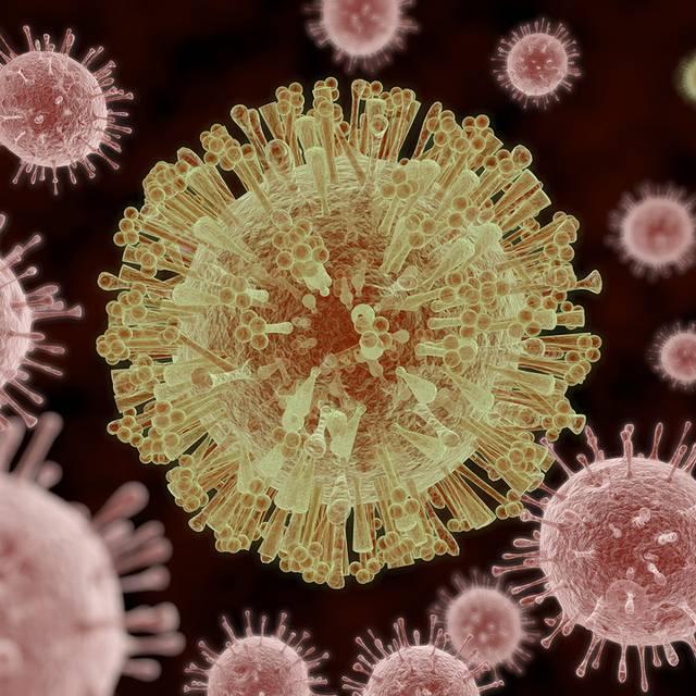 Analize medicale - virus Zika