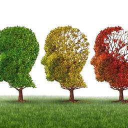 Boala Alzheimer: Cauze, diagnostic, tratament